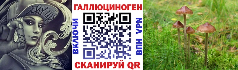 Псилоцибиновые грибы ЛСД ссылка на мегу ССЫЛКА Лыткарино